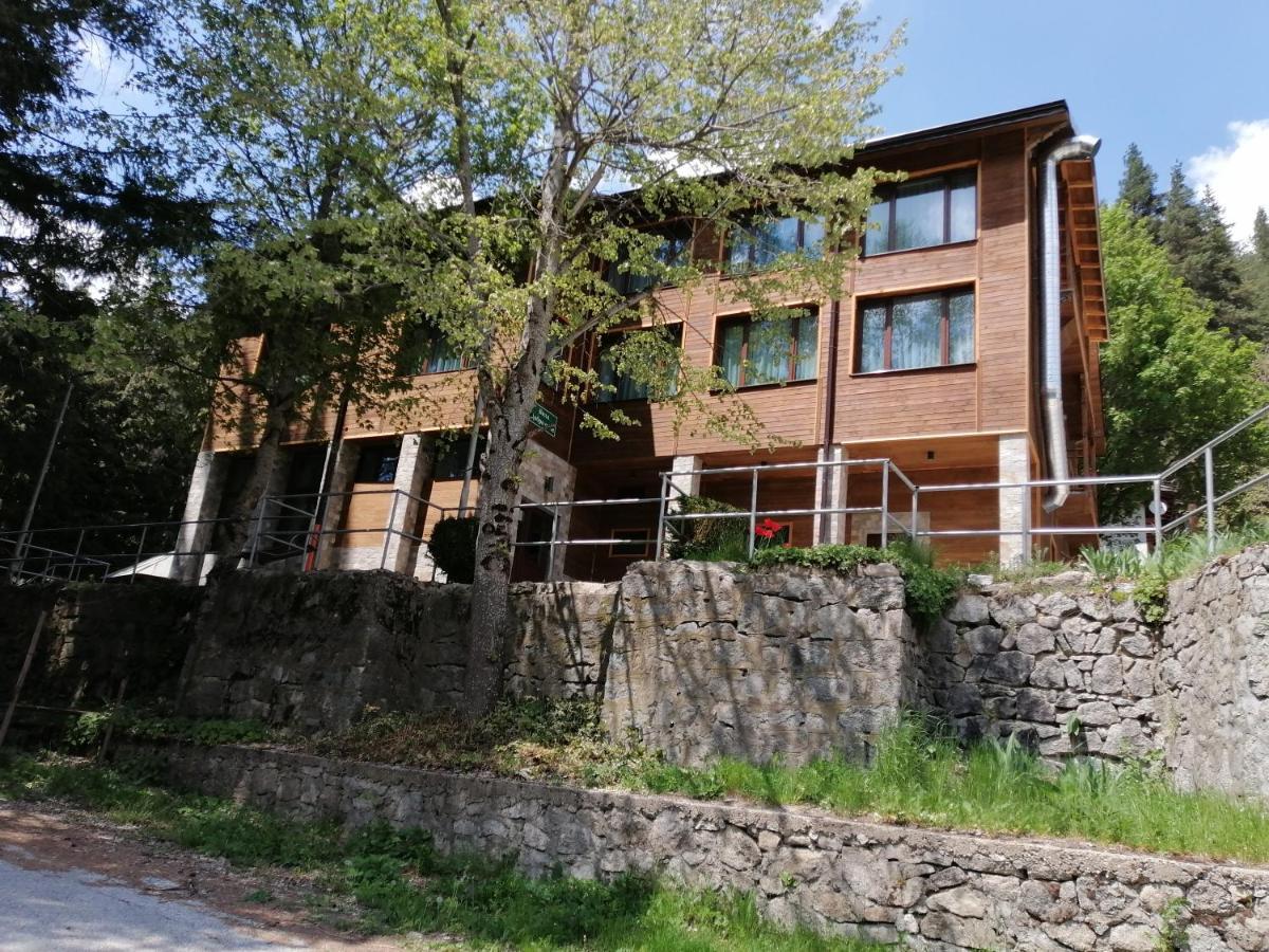 Вила Добро Поле Blagoevgrad Eksteriør billede